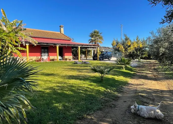 La Buganvilla, Descanso Entre Olivares
