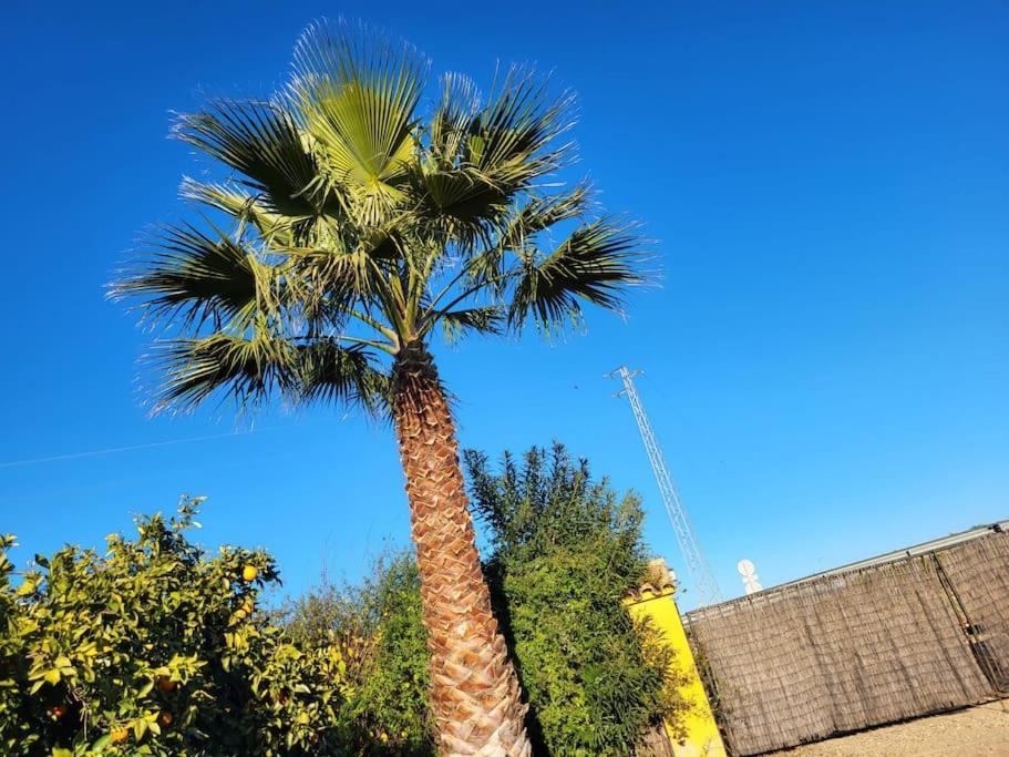 Hébergement de vacances La Buganvilla, Descanso Entre Olivares *