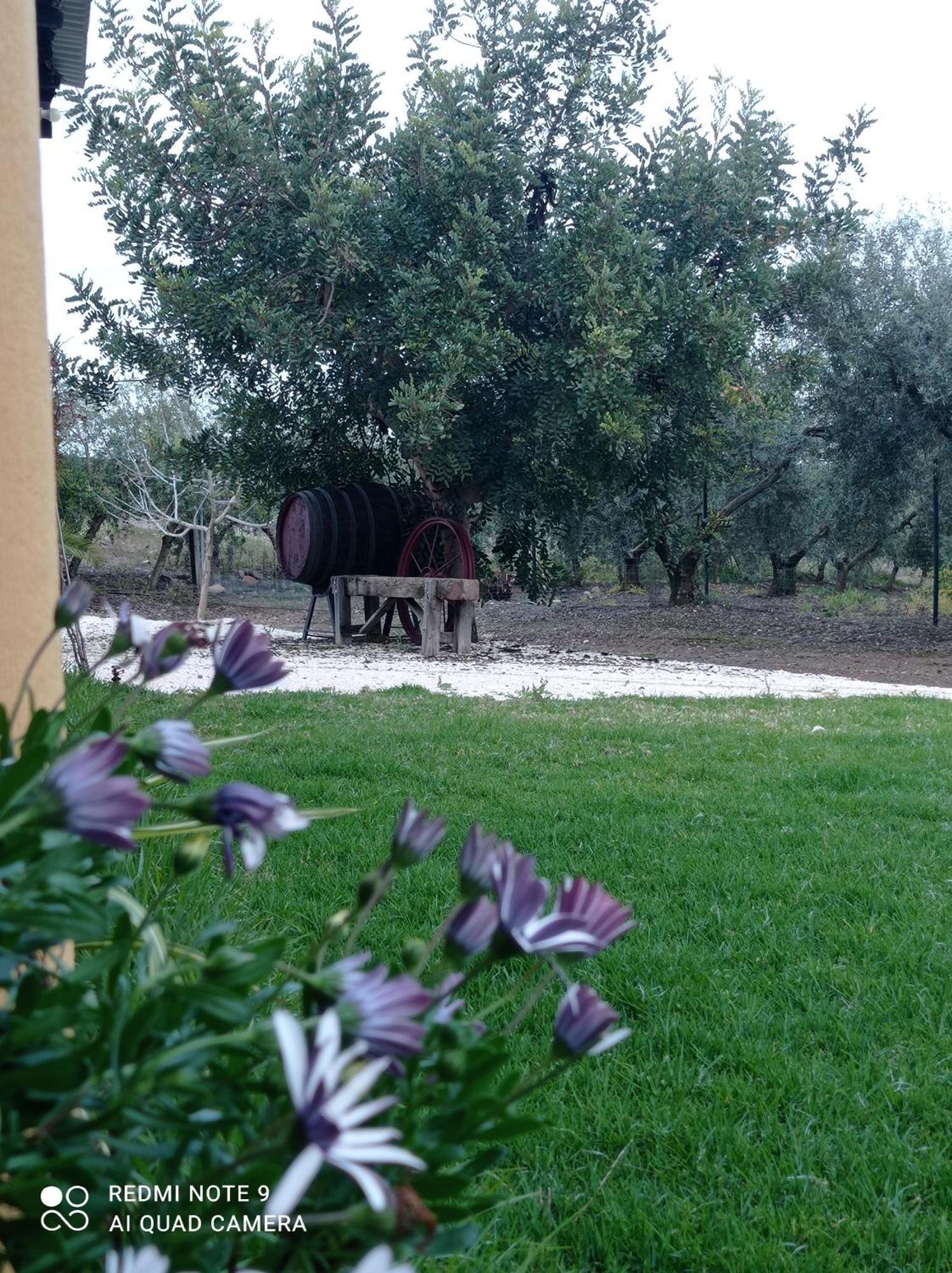 Hébergement de vacances La Buganvilla, Descanso Entre Olivares